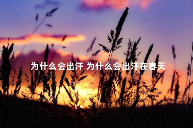 为什么会出汗 为什么会出汗在春天